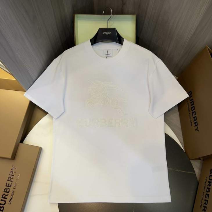 Picture of Burberry T Shirts Short _SKUBurberryS-2XLaztx954619930